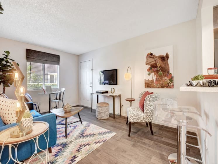 1 Bedroom Apartment
